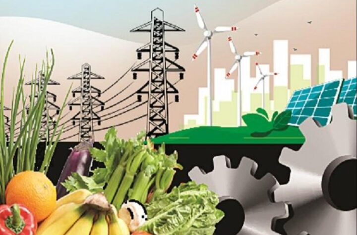 12.94 శాతానికి టోకు ద్రవ్యోల్బణం