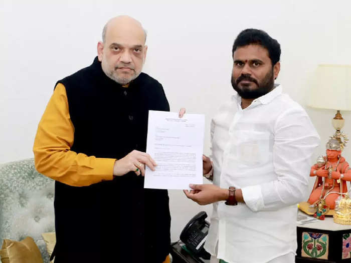 మంత్రి పెద్దిరెడ్డిపై అమిత్ షాకు ఫిర్యాదు