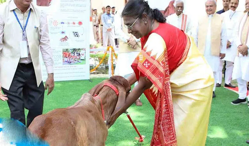 భారతదేశపు మొదటి గిర్‌ జాతి క్లోనింగ్‌ ఆవుదూడ గంగతో రాష్ట్రపతి