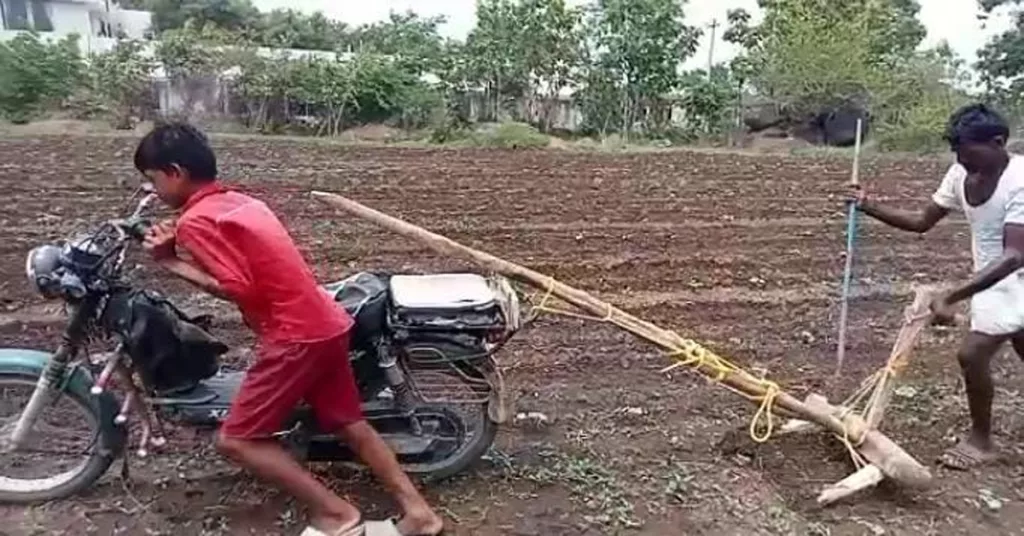 లూనాతో పంట చేనులో వ్యవసాయ పనులు