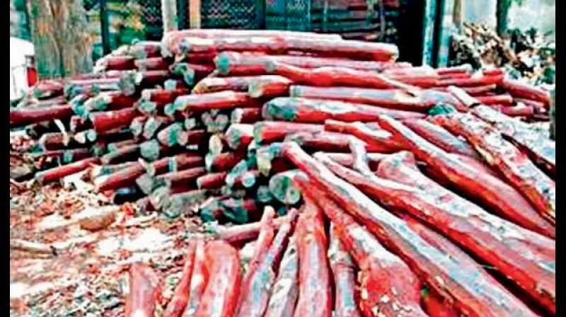 ఎర్రచందనం వేలంపై 14న తిరుపతిలో జాతీయ సదస్సు