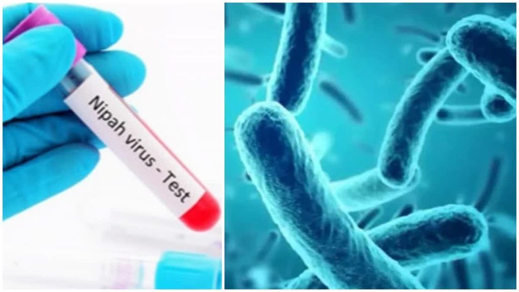 కేరళలో నిపా వైరస్ కలకలం.. ఇద్దరు మృతి