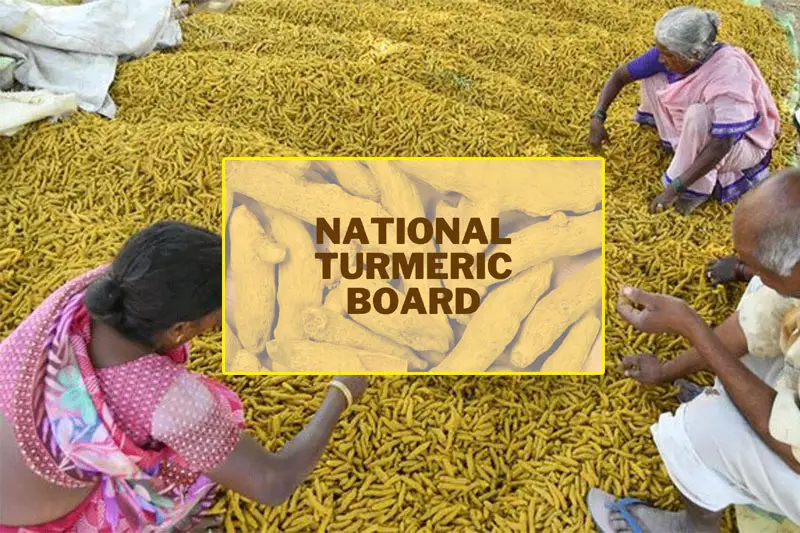 2030 నాటికి 8 వేల కోట్ల ఎగుమతులు లక్ష్యంగా పసుపు బోర్డు