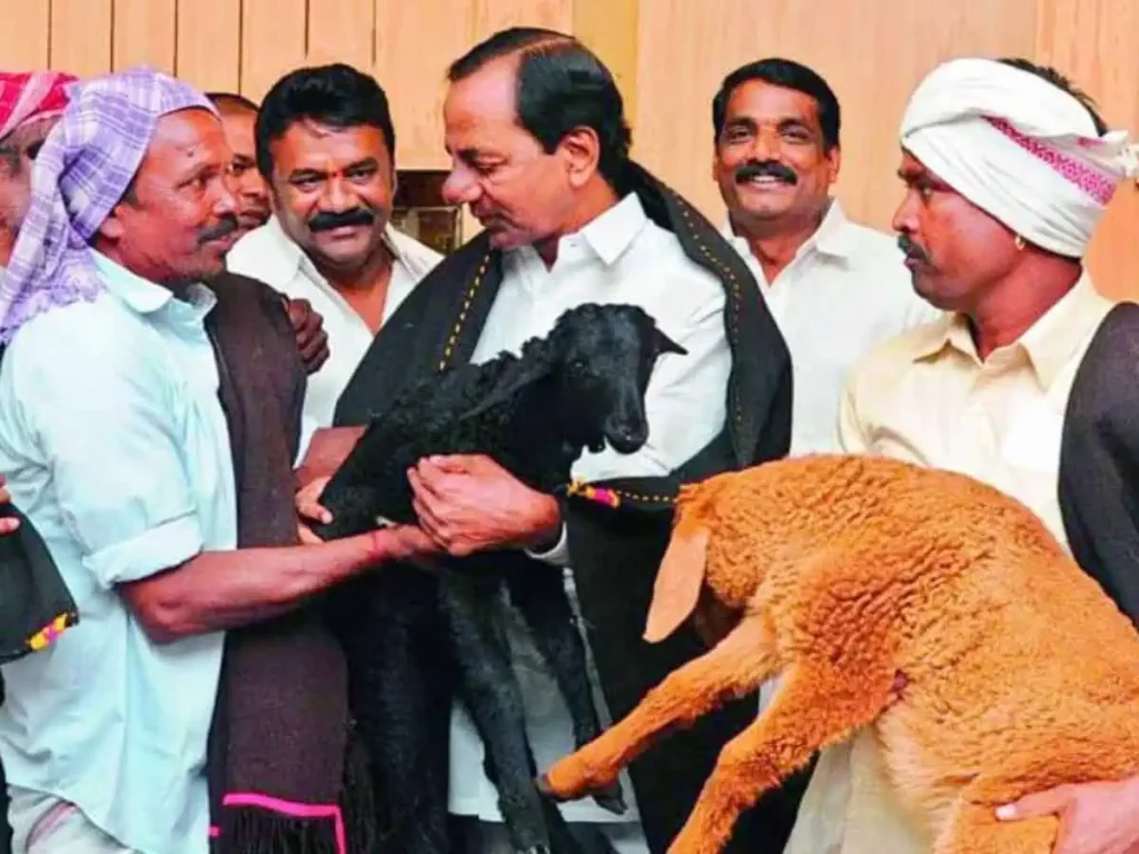 గొర్రెల కుంభకోణంలో కేసీఆర్‌పై ఈడీ కేసు!