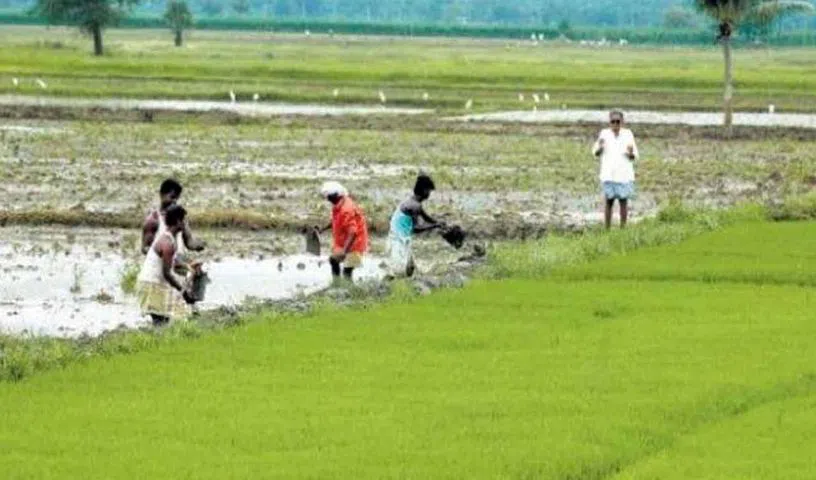 దశలవారీగా రూ.2 లక్షల రుణమాఫీ!