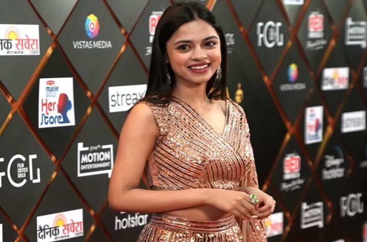 ఆస్కార్‌కు కిరణ్‌ రావు ‘లాపతా లేడీస్‌’