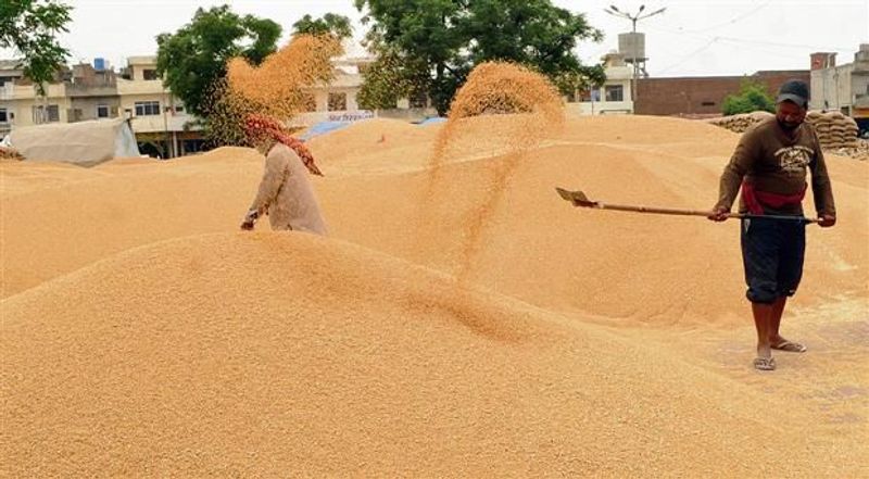 6 పంటలకు కనీస మద్దతు ధర పెంపు