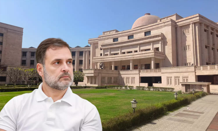 రాహుల్ గాంధీని మందలించిన అలహాబాద్ హైకోర్టు రాహుల్ గాంధీని మందలించిన అలహాబాద్ హైకోర్టు