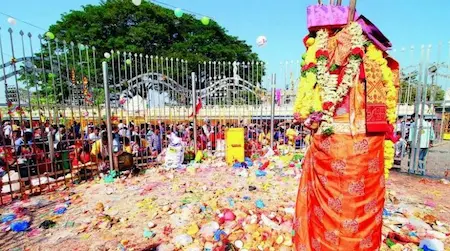 మేడారం జాతర సందర్భంగా రూ.5 కోట్లతో గెస్ట్ హౌస్
