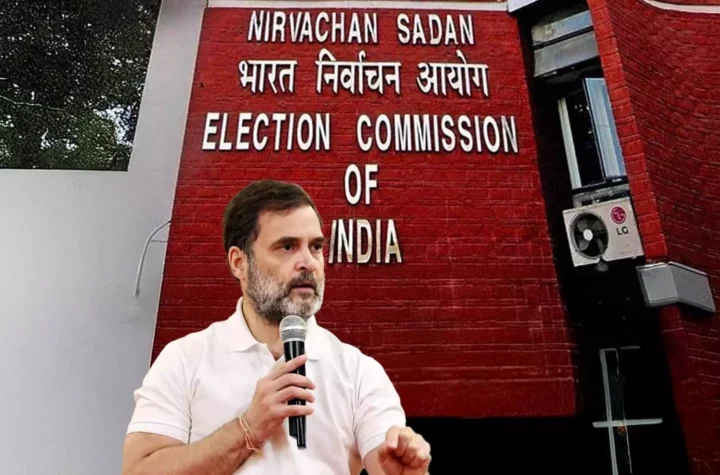 ప్రజాస్వామ్య పునాదులపై రాహుల్ కుట్రలు !