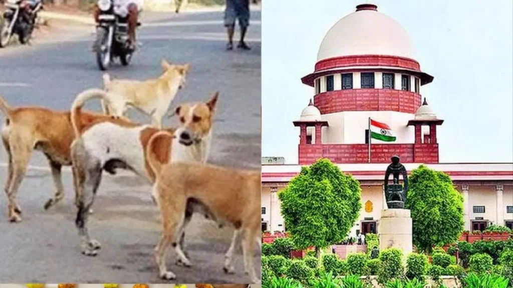 వీధి కుక్కలపై సుప్రీం ఆదేశాల అమలు సాధ్యమా?