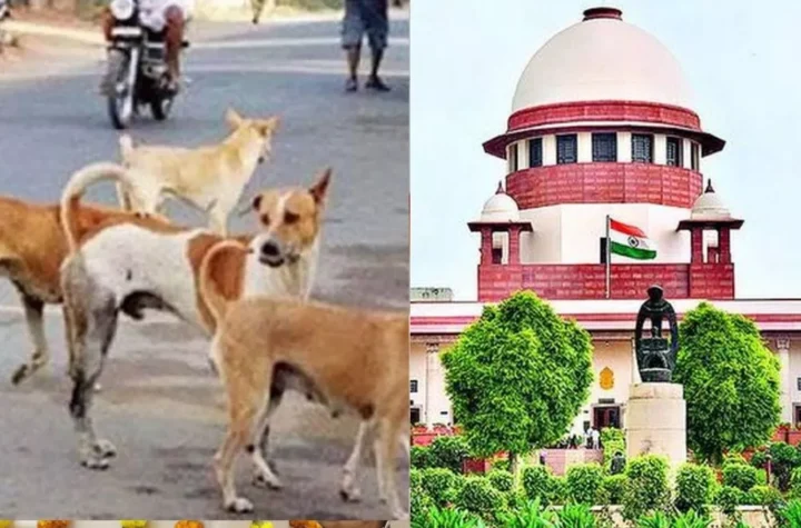 వీధి కుక్కలపై సుప్రీం ఆదేశాల అమలు సాధ్యమా?