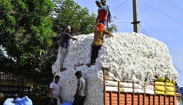 పత్తిపై దిగుమతులపై సుంకం రాయితీ పొడిగింపు