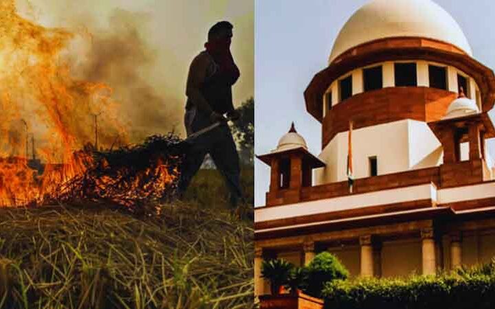 పంట వ్యర్థాల దహనంపై చర్యలు లేదా జైలు .. సుప్రీం