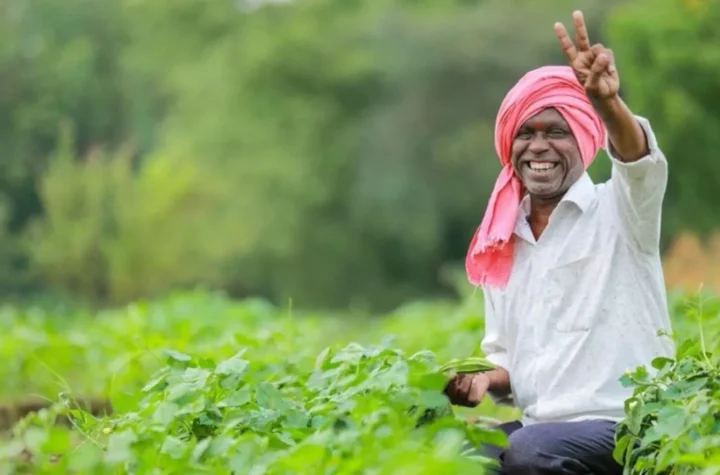 అన్నమయ్య జిల్లాకు పీఎం ధన ధాన్య కృషి యోజనలో చోటు