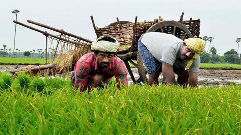 కౌలు రైతుల సమస్యలు పట్టని కూటమి ప్రభుత్వం