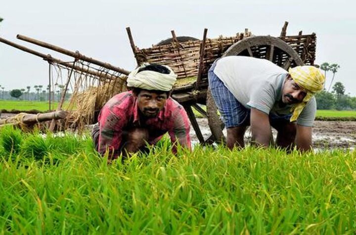 కౌలు రైతుల సమస్యలు పట్టని కూటమి ప్రభుత్వం