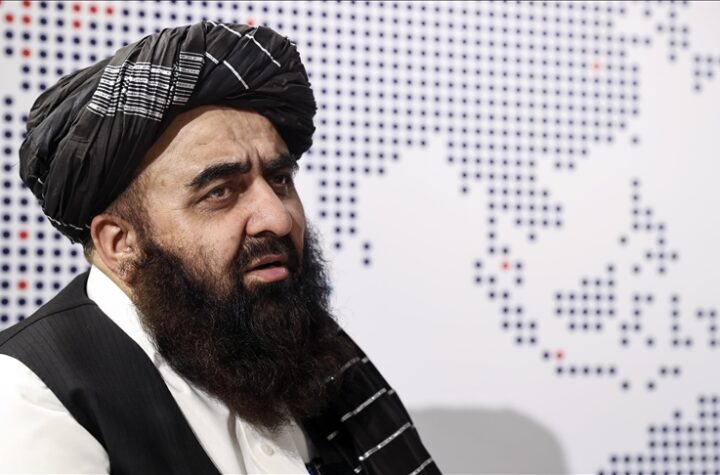 భారత్‌లో తాలిబన్ తొలి దౌత్యవేత్త నియామకం