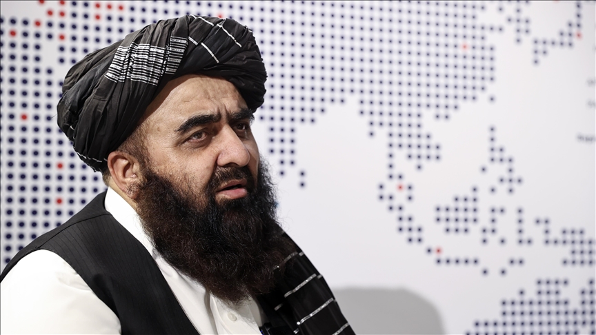 భారత్‌లో తాలిబన్ తొలి దౌత్యవేత్త నియామకం