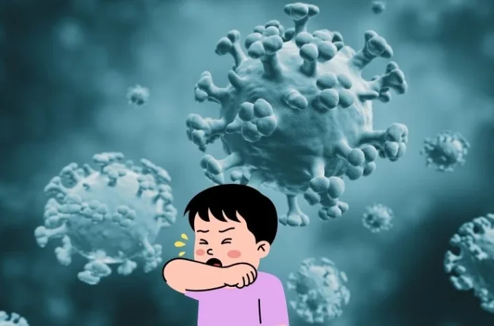 ఢిల్లీలో వాయు కాలుష్యం.. 75 శాతం కుటుంబాల్లో వైరల్‌ ఇన్ఫెక్షన్లు