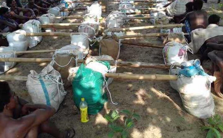 నిధుల కోసం గాంజా సాగు ప్రోత్సహిస్తున్న మావోయిస్టులు