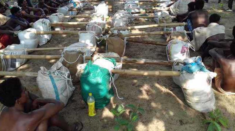 నిధుల కోసం గాంజా సాగు ప్రోత్సహిస్తున్న మావోయిస్టులు