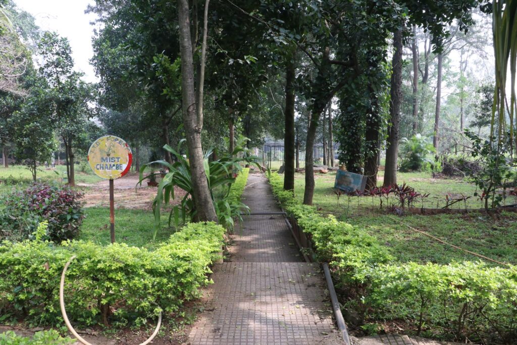 శేషాచలం అడవులకు జీవనాడిగా దివ్య ఔషధ వనం