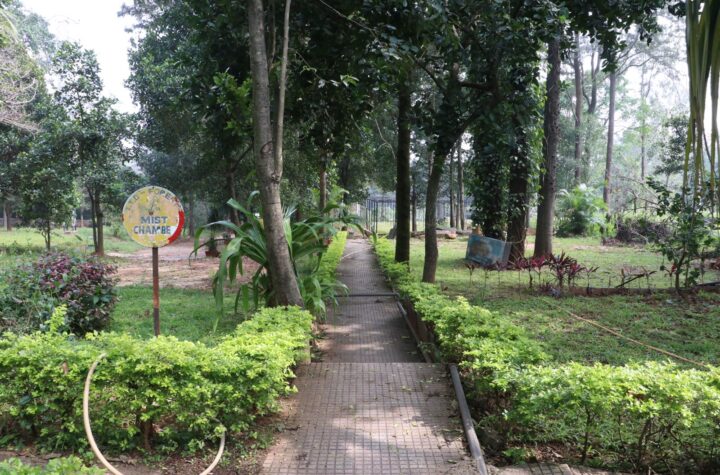 శేషాచలం అడవులకు జీవనాడిగా దివ్య ఔషధ వనం