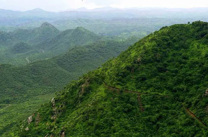 ముప్పులో ‘మూడో వంతు’ ఆరావళి