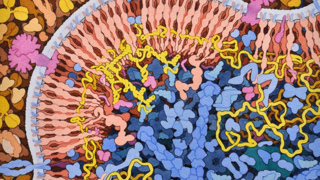 హెచ్‌ఐవీ వైరస్‌ను మూలంగా తొలగించే చైనా ప్రయత్నం