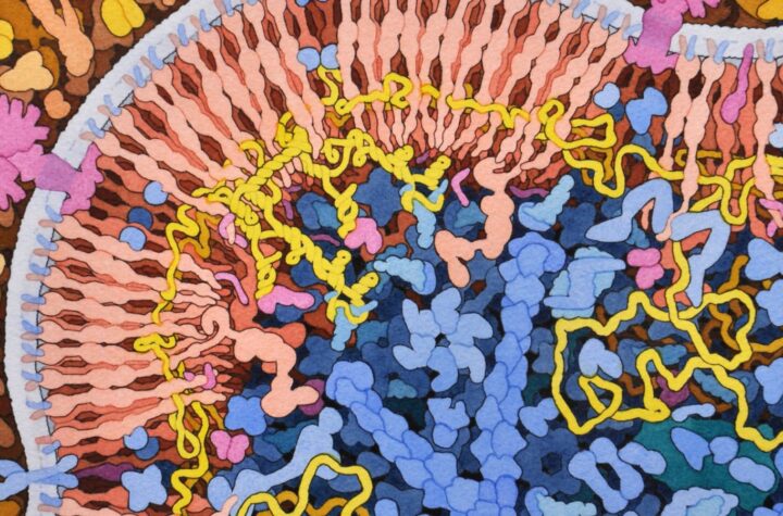 హెచ్‌ఐవీ వైరస్‌ను మూలంగా తొలగించే చైనా ప్రయత్నం