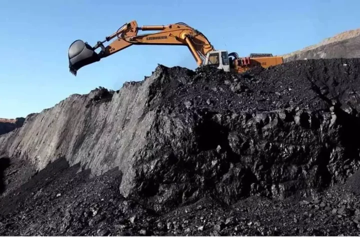 నైనీ కోల్‌ బ్లాక్‌ టెండర్ రద్దు వివాదంపై రంగంలోకి కేంద్ర బృందం