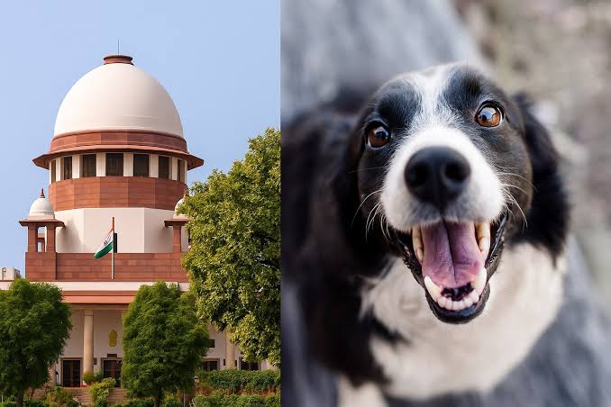 ప్రతి కుక్క కాటుకు పరిహారం చెల్లించాల్సిందే