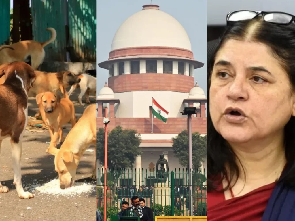 వీధి కుక్కల విషయంలో మేనకా గాంధీది కోర్టు ధిక్కారమే