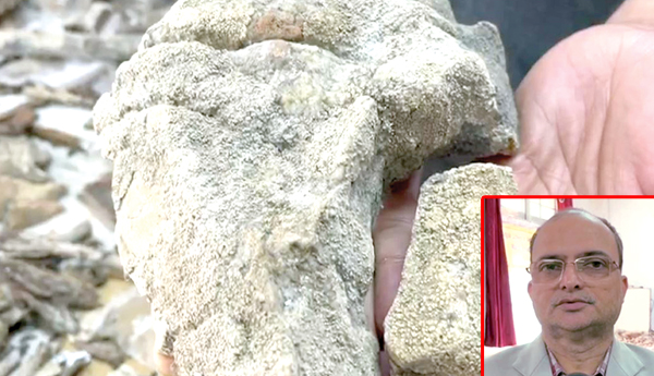 క్యాన్సర్ నిరోధఖాలున్న 148 లైకెన్ల గుర్తింపు