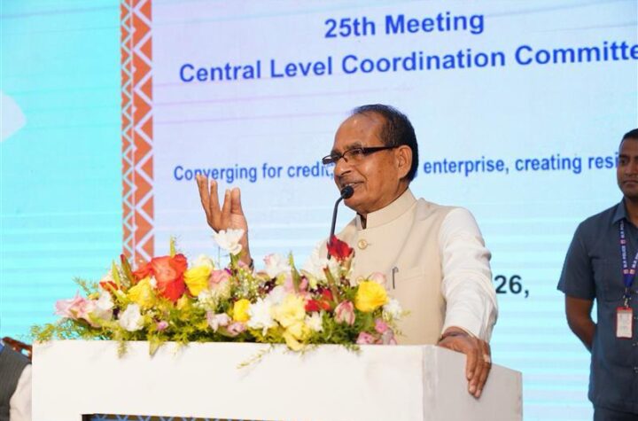 డ్వాక్రా గ్రూపులకిచ్చే రుణాలు దేశం కోసం సురక్షితమైన పెట్టుబడి