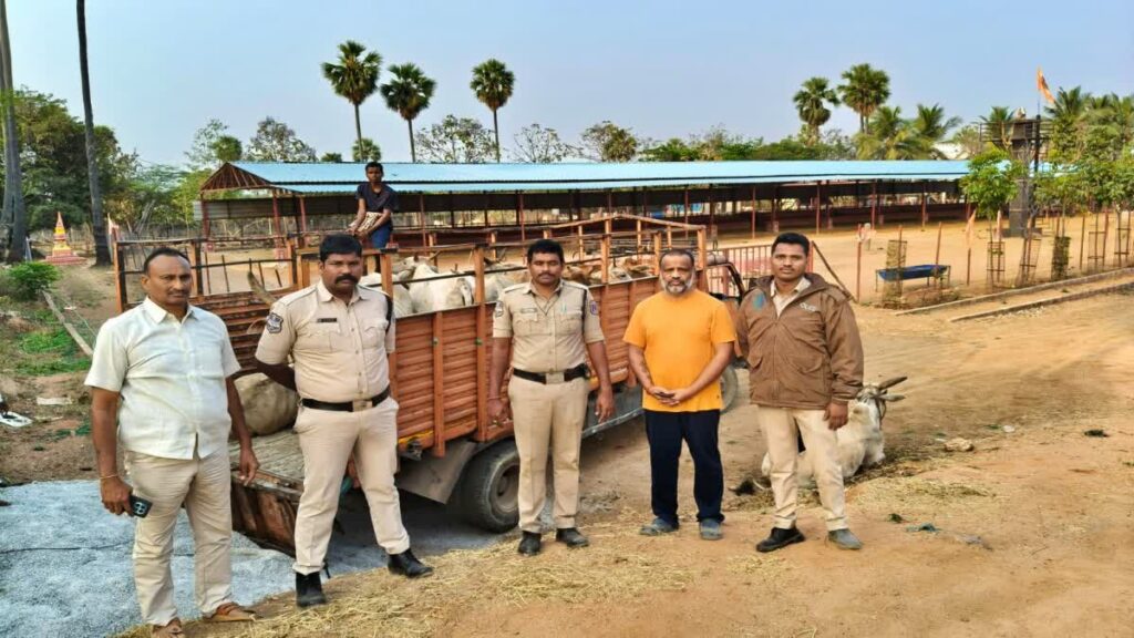 హైదారాబాద్ శివారులో గోవుల అక్రమ రవాణాయత్నం  