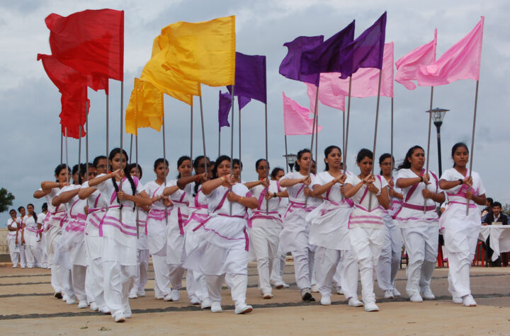 నారీ శక్తి: రాష్ట్ర సేవికా సమితి కథ