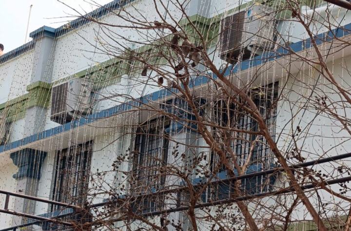 మైమరిపించే విద్యుత్ కాంతుల్లో ఒంటిమిట్టలో బ్రహ్మోత్సవాలు