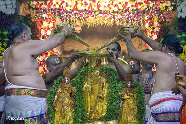 తిరుమలలో వేడుకగా వసంతోత్సవాలు ప్రారంభం