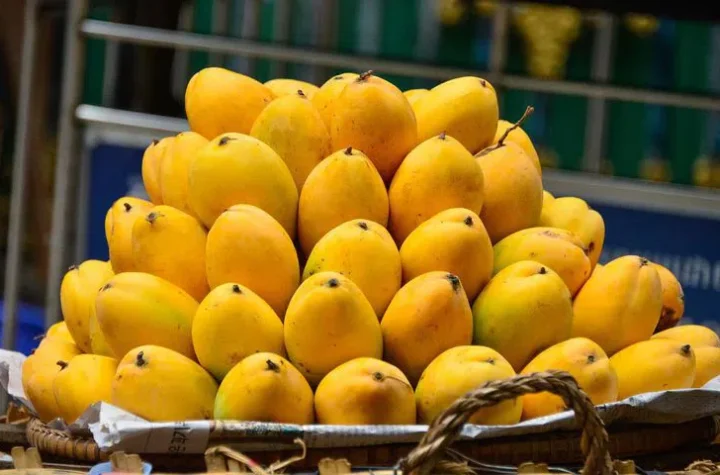 మామిడి ఫలాల మాటున ప్రాణాంతకమైన విషపు కోరలు?