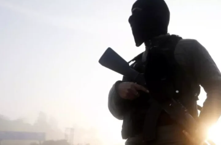 ఉగ్రవాదులతో సంబంధం.. ఇద్దరు ప్రభుత్వ ఉద్యోగుల తొలగింపు