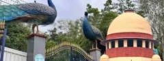 కేబీర్ పార్క్ చుట్టూరా చెట్ల నరికివేతపై సుప్రీం ఆంక్షలు!   