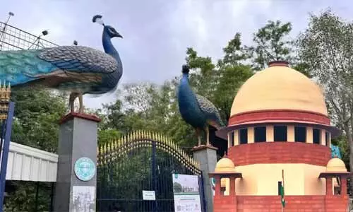 కేబీర్ పార్క్ చుట్టూరా చెట్ల నరికివేతపై సుప్రీం ఆంక్షలు!   