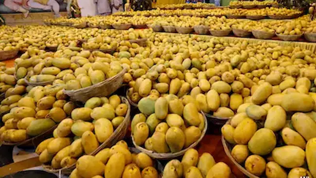భారత మామిడిపండ్లపై జపాన్‌లో నిషేధం!