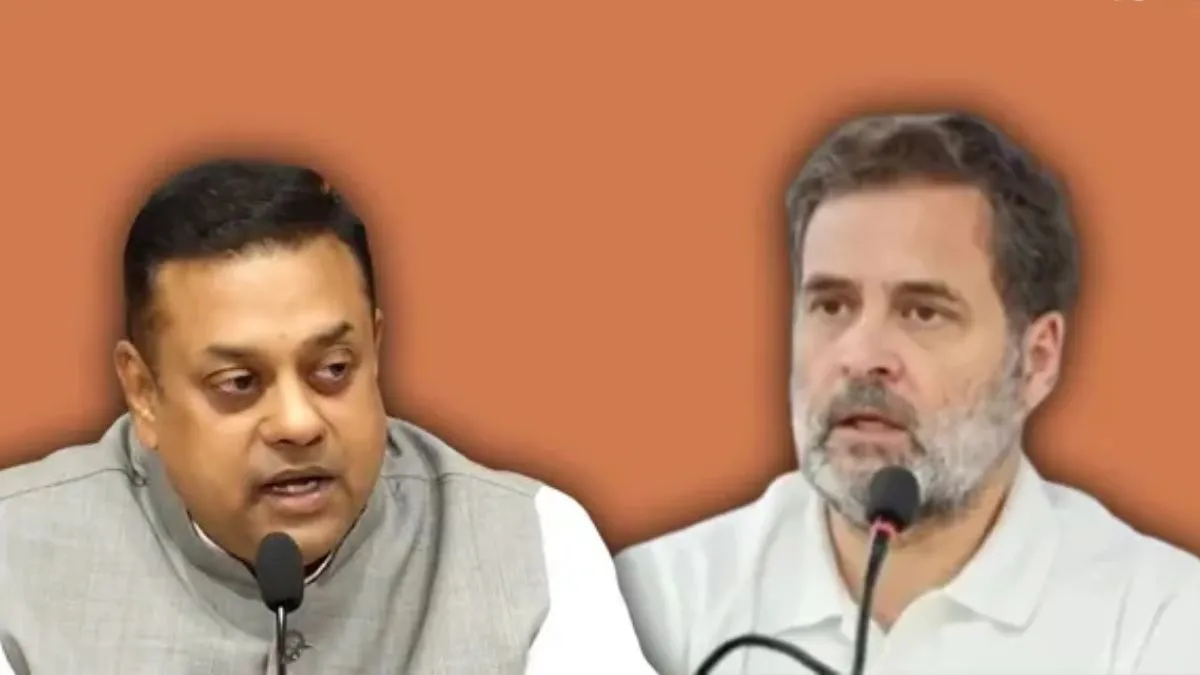 రాహుల్ గాంధీ ఆదాయం, విదేశీ పర్యటనల ఖర్చుల్లో వ్యత్యాసం