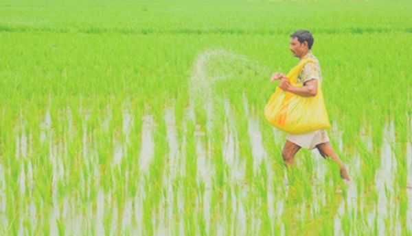 యూరియా, డిఎపి ఎరువుల వినియోగంపై నిఘా