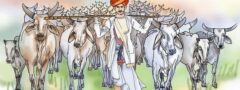 మరోసారి తెరపైకి జాతీయ జంతువుగా గోవు అంశం