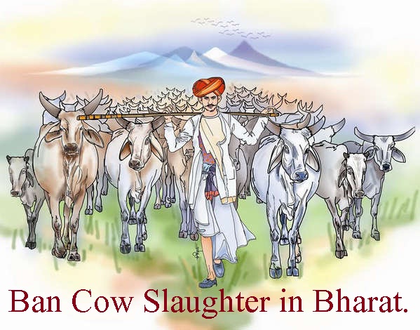 మరోసారి తెరపైకి జాతీయ జంతువుగా గోవు అంశం