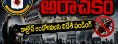 VIDEO: కాక్రోచ్ ఆందోళనలకు విదేశీ ఫండింగ్!